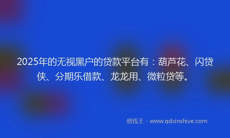 2025年的无视黑户的贷款平台有：葫芦花、闪贷侠、分期乐借款、龙龙用、微粒贷等。