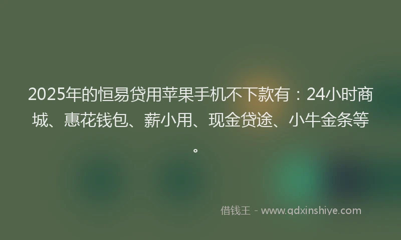 2025年的恒易贷用苹果手机不下款有：24小时商城、惠花钱包、薪小用、现金贷途、小牛金条等。