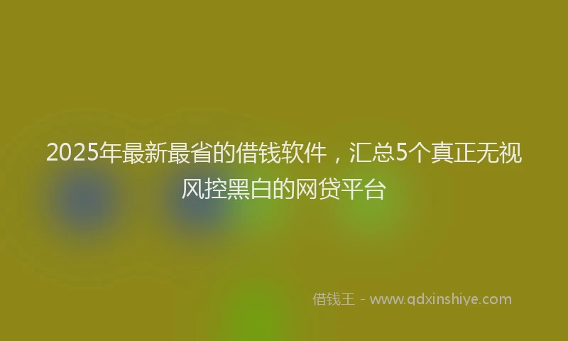 2025年最新最省的借钱软件，汇总5个真正无视风控黑白的网贷平台