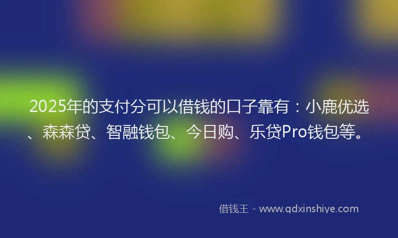 2025年的支付分可以借钱的口子靠有：小鹿优选、森森贷、智融钱包、今日购、乐贷Pro钱包等。