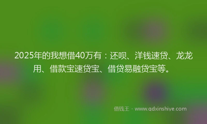 2025年的我想借40万有：还呗、洋钱速贷、龙龙用、借款宝速贷宝、借贷易融贷宝等。