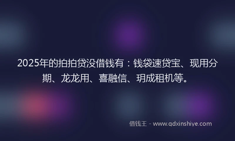 2025年的拍拍贷没借钱有：钱袋速贷宝、现用分期、龙龙用、喜融信、玥成租机等。