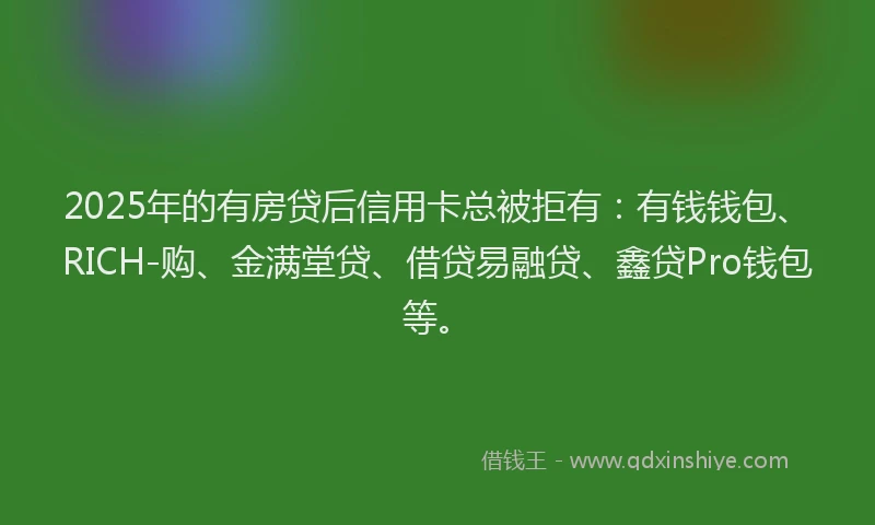 2025年的有房贷后信用卡总被拒有：有钱钱包、RICH-购、金满堂贷、借贷易融贷、鑫贷Pro钱包等。