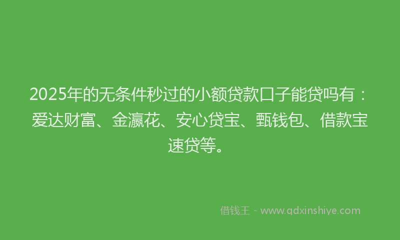 2025年的无条件秒过的小额贷款口子能贷吗有：爱达财富、金瀛花、安心贷宝、甄钱包、借款宝速贷等。