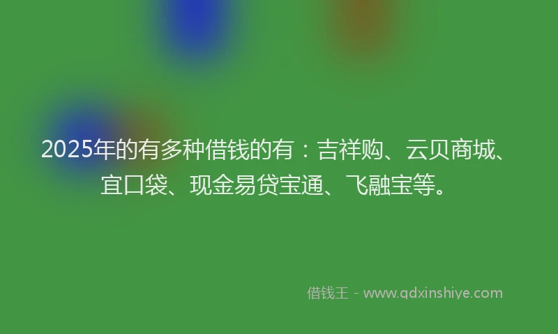 2025年的有多种借钱的有：吉祥购、云贝商城、宜口袋、现金易贷宝通、飞融宝等。