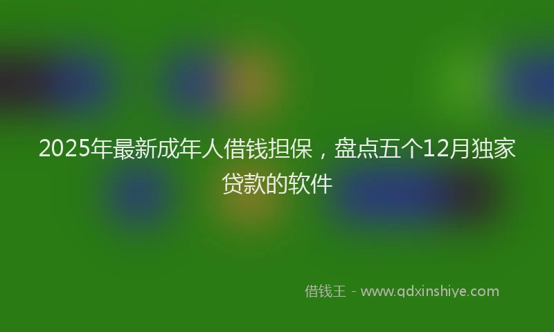 2025年最新成年人借钱担保，盘点五个12月独家贷款的软件