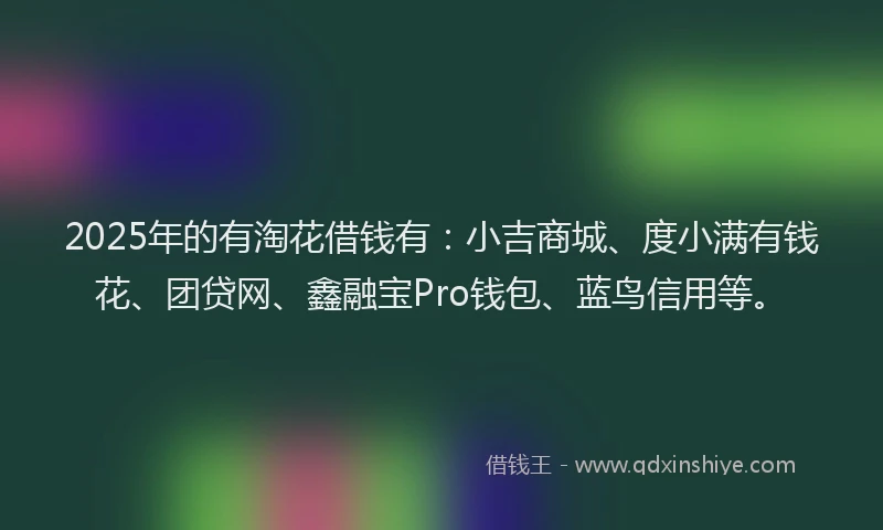 2025年的有淘花借钱有：小吉商城、度小满有钱花、团贷网、鑫融宝Pro钱包、蓝鸟信用等。