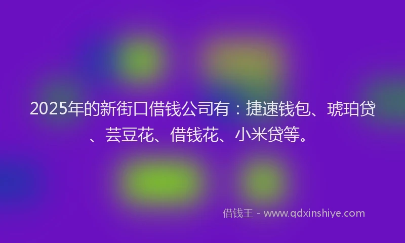 2025年的新街口借钱公司有：捷速钱包、琥珀贷、芸豆花、借钱花、小米贷等。