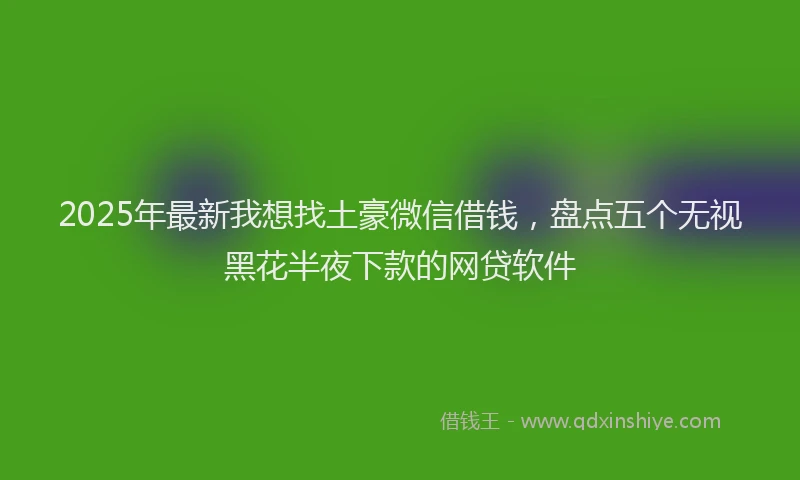 2025年最新我想找土豪微信借钱，盘点五个无视黑花半夜下款的网贷软件
