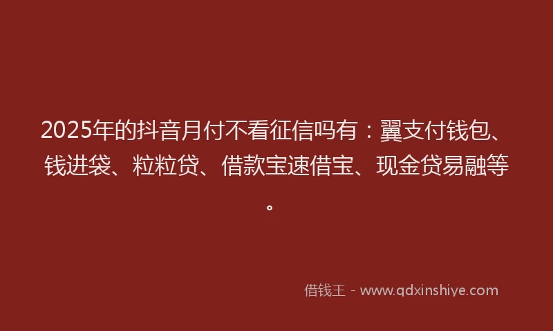 2025年的抖音月付不看征信吗有：翼支付钱包、钱进袋、粒粒贷、借款宝速借宝、现金贷易融等。