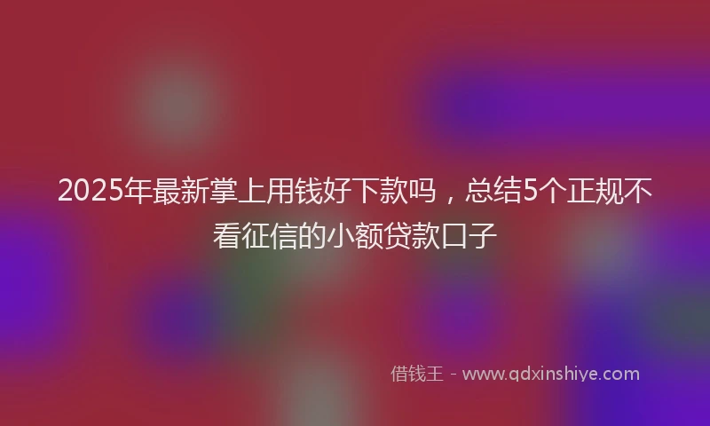 2025年最新掌上用钱好下款吗，总结5个正规不看征信的小额贷款口子