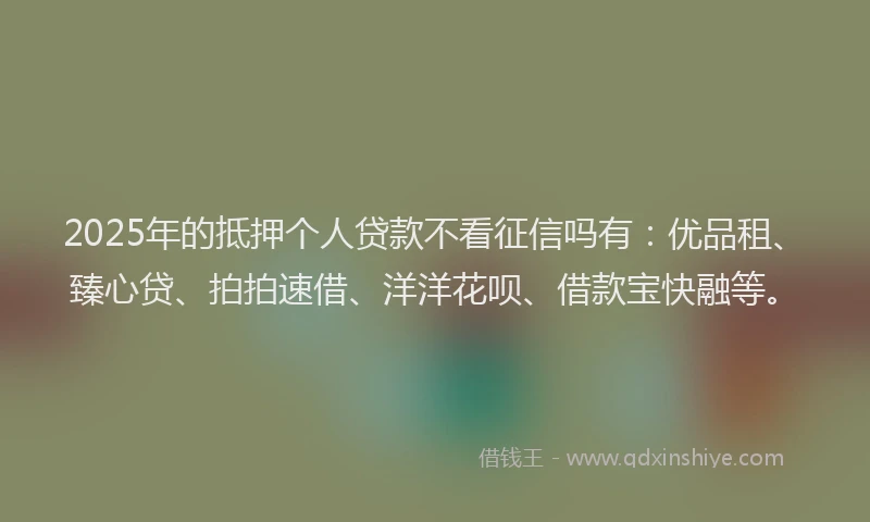 2025年的抵押个人贷款不看征信吗有：优品租、臻心贷、拍拍速借、洋洋花呗、借款宝快融等。
