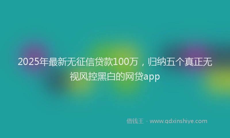 2025年最新无征信贷款100万，归纳五个真正无视风控黑白的网贷app