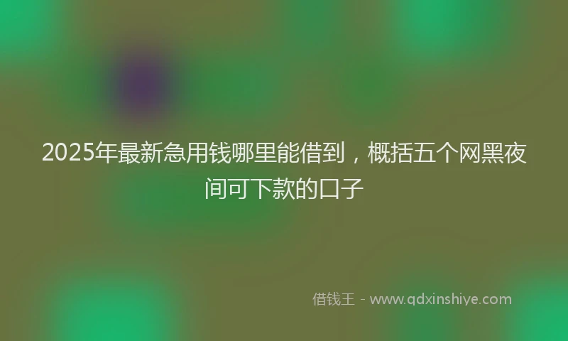 2025年最新急用钱哪里能借到，概括五个网黑夜间可下款的口子