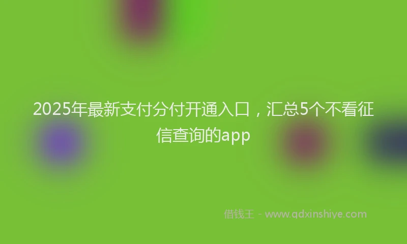 2025年最新支付分付开通入口，汇总5个不看征信查询的app