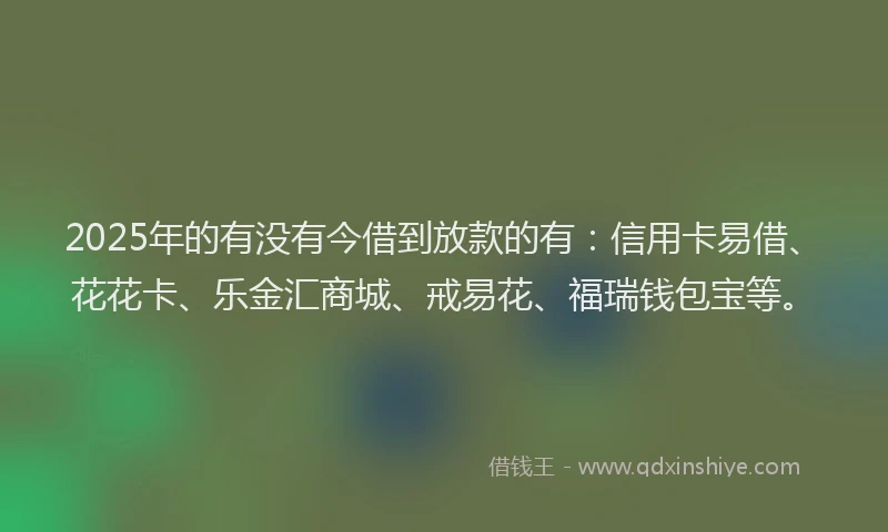 2025年的有没有今借到放款的有：信用卡易借、花花卡、乐金汇商城、戒易花、福瑞钱包宝等。