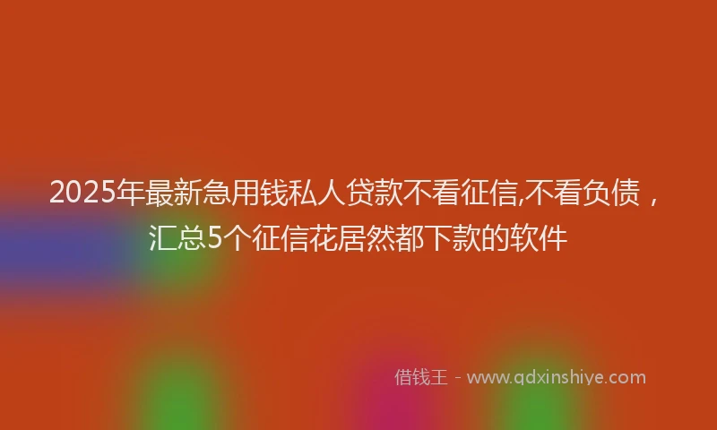 2025年最新急用钱私人贷款不看征信,不看负债，汇总5个征信花居然都下款的软件