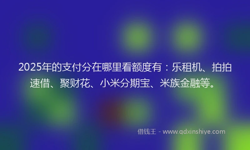 2025年的支付分在哪里看额度有：乐租机、拍拍速借、聚财花、小米分期宝、米族金融等。