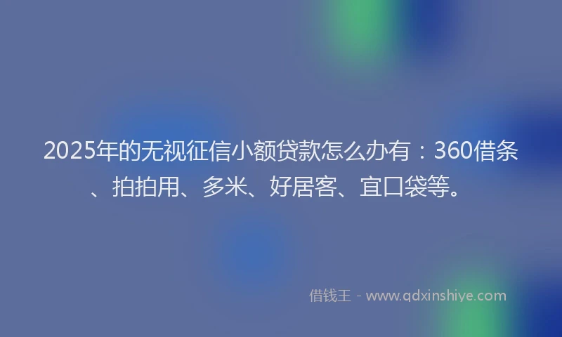 2025年的无视征信小额贷款怎么办有：360借条、拍拍用、多米、好居客、宜口袋等。