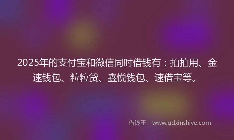 2025年的支付宝和微信同时借钱有：拍拍用、金速钱包、粒粒贷、鑫悦钱包、速借宝等。