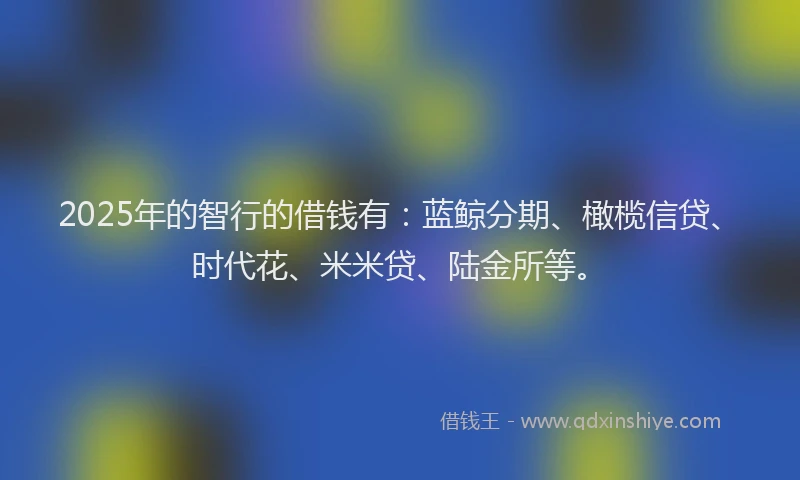 2025年的智行的借钱有：蓝鲸分期、橄榄信贷、时代花、米米贷、陆金所等。