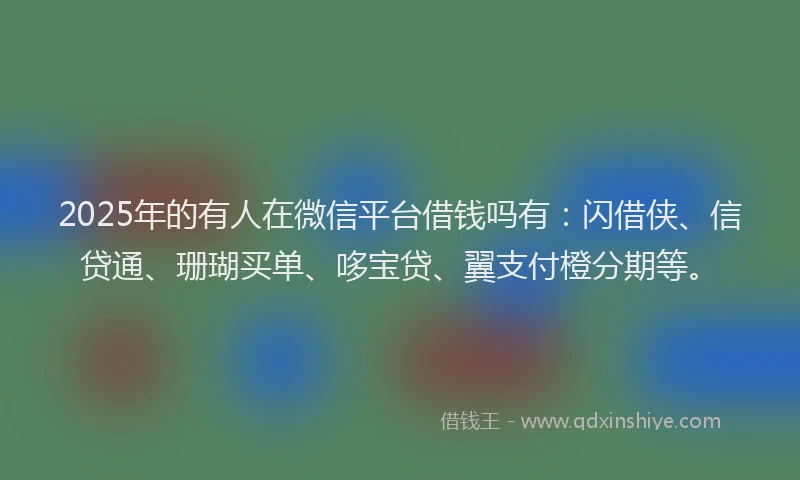 2025年的有人在微信平台借钱吗有：闪借侠、信贷通、珊瑚买单、哆宝贷、翼支付橙分期等。