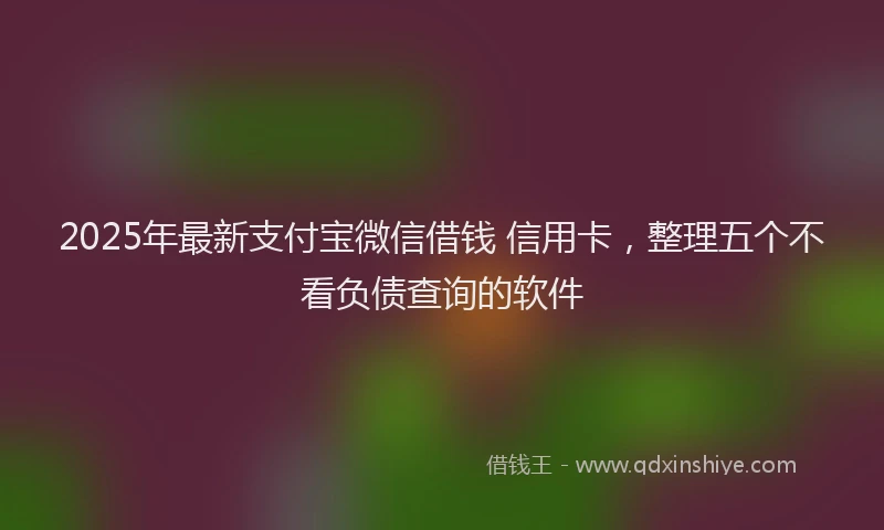 2025年最新支付宝微信借钱 信用卡，整理五个不看负债查询的软件