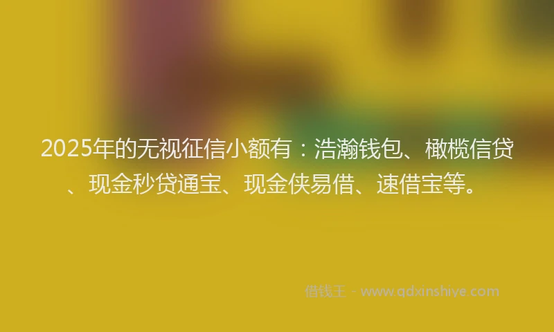 2025年的无视征信小额有：浩瀚钱包、橄榄信贷、现金秒贷通宝、现金侠易借、速借宝等。
