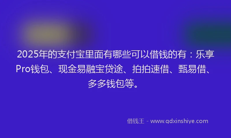 2025年的支付宝里面有哪些可以借钱的有：乐享Pro钱包、现金易融宝贷途、拍拍速借、甄易借、多多钱包等。