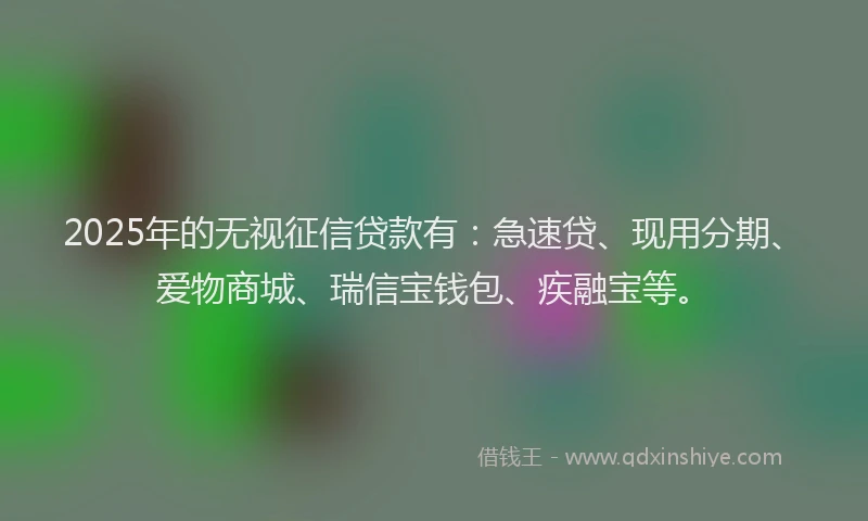 2025年的无视征信贷款有：急速贷、现用分期、爱物商城、瑞信宝钱包、疾融宝等。