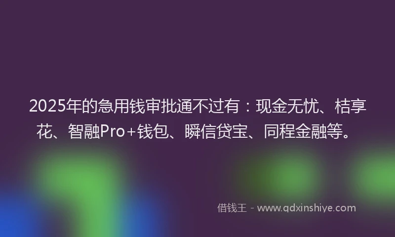 2025年的急用钱审批通不过有：现金无忧、桔享花、智融Pro+钱包、瞬信贷宝、同程金融等。