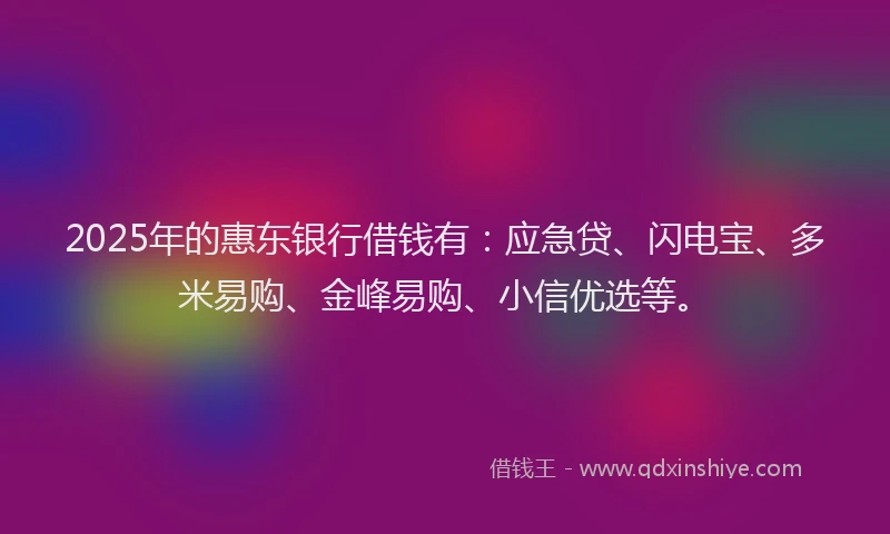 2025年的惠东银行借钱有：应急贷、闪电宝、多米易购、金峰易购、小信优选等。