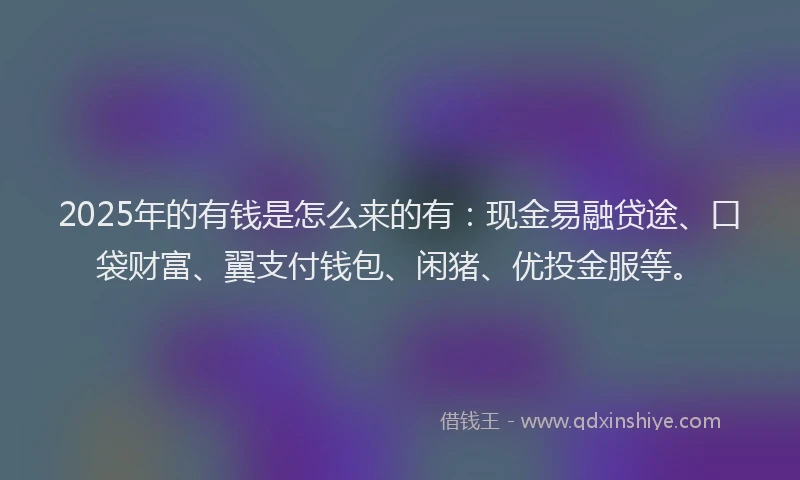 2025年的有钱是怎么来的有：现金易融贷途、口袋财富、翼支付钱包、闲猪、优投金服等。