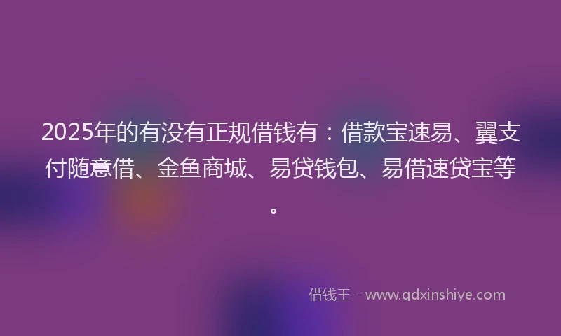 2025年的有没有正规借钱有：借款宝速易、翼支付随意借、金鱼商城、易贷钱包、易借速贷宝等。