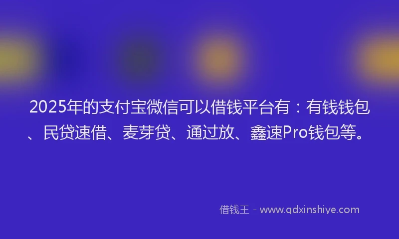 2025年的支付宝微信可以借钱平台有：有钱钱包、民贷速借、麦芽贷、通过放、鑫速Pro钱包等。