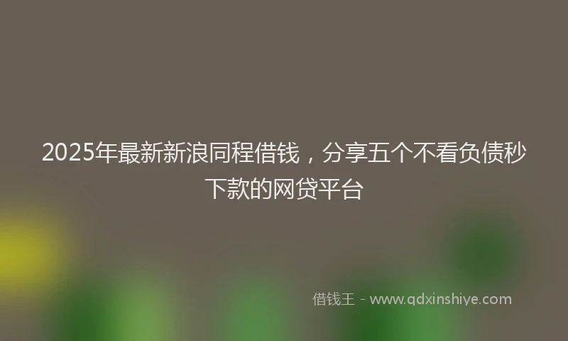 2025年最新新浪同程借钱，分享五个不看负债秒下款的网贷平台