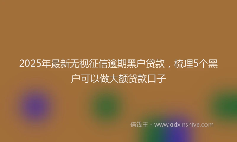2025年最新无视征信逾期黑户贷款，梳理5个黑户可以做大额贷款口子