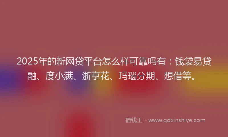 2025年的新网贷平台怎么样可靠吗有：钱袋易贷融、度小满、浙享花、玛瑙分期、想借等。