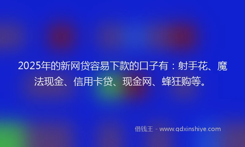 2025年的新网贷容易下款的口子有：射手花、魔法现金、信用卡贷、现金网、蜂狂购等。