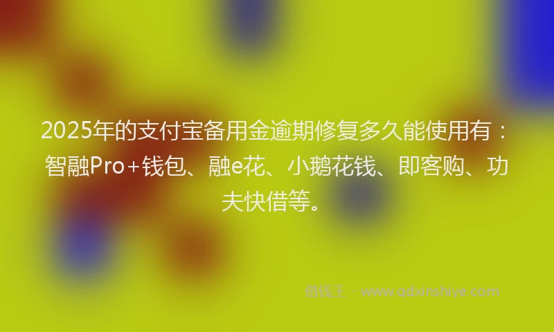2025年的支付宝备用金逾期修复多久能使用有：智融Pro+钱包、融e花、小鹅花钱、即客购、功夫快借等。