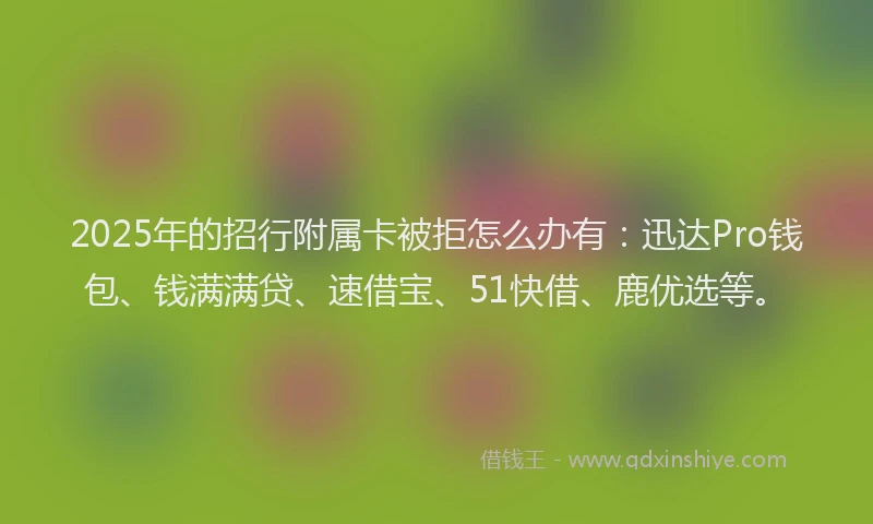2025年的招行附属卡被拒怎么办有：迅达Pro钱包、钱满满贷、速借宝、51快借、鹿优选等。