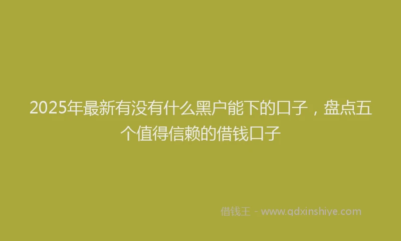 2025年最新有没有什么黑户能下的口子，盘点五个值得信赖的借钱口子