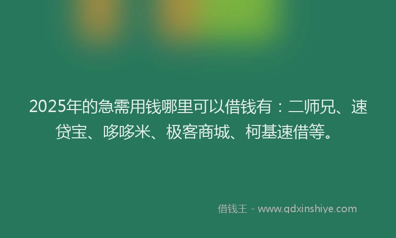 2025年的急需用钱哪里可以借钱有：二师兄、速贷宝、哆哆米、极客商城、柯基速借等。