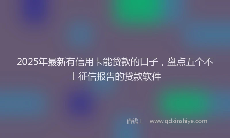 2025年最新有信用卡能贷款的口子，盘点五个不上征信报告的贷款软件