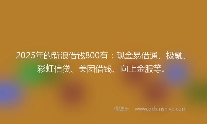 2025年的新浪借钱800有：现金易借通、极融、彩虹信贷、美团借钱、向上金服等。