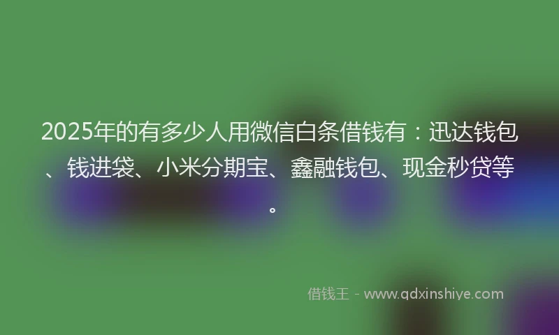 2025年的有多少人用微信白条借钱有：迅达钱包、钱进袋、小米分期宝、鑫融钱包、现金秒贷等。