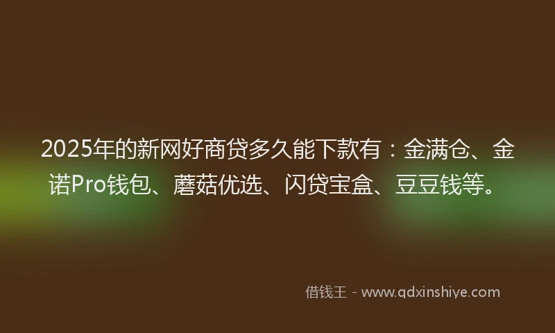 2025年的新网好商贷多久能下款有：金满仓、金诺Pro钱包、蘑菇优选、闪贷宝盒、豆豆钱等。