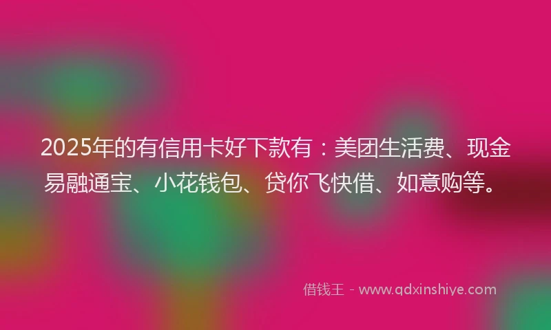 2025年的有信用卡好下款有：美团生活费、现金易融通宝、小花钱包、贷你飞快借、如意购等。