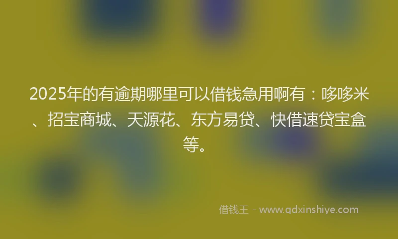 2025年的有逾期哪里可以借钱急用啊有：哆哆米、招宝商城、天源花、东方易贷、快借速贷宝盒等。