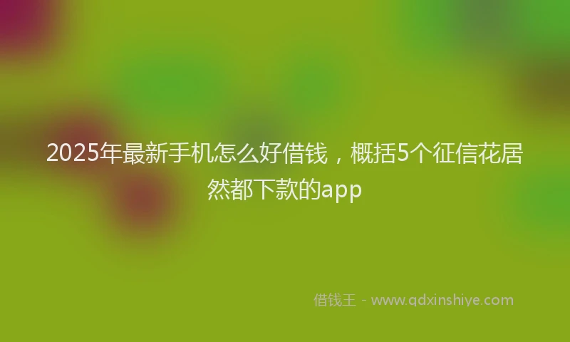 2025年最新手机怎么好借钱，概括5个征信花居然都下款的app